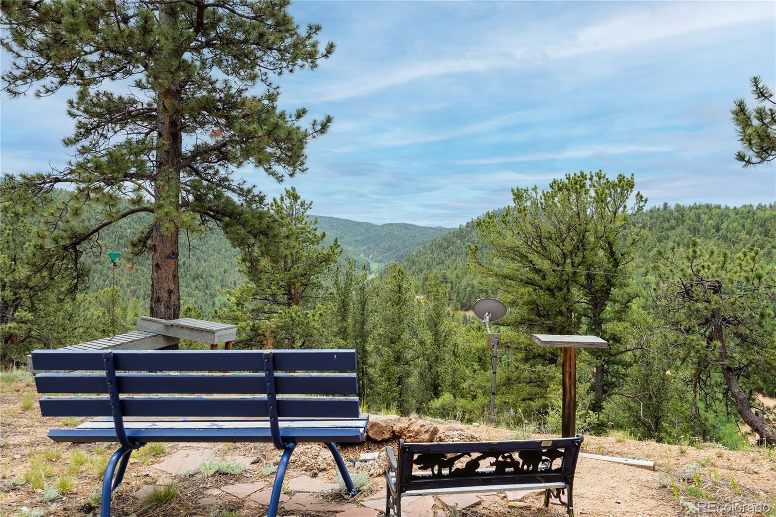 239 Wildlife Point, Divide, CO 80814, 4 Bedrooms Bedrooms, ,5 BathroomsBathrooms,Residential,For Sale,Wildlife,REC6861730