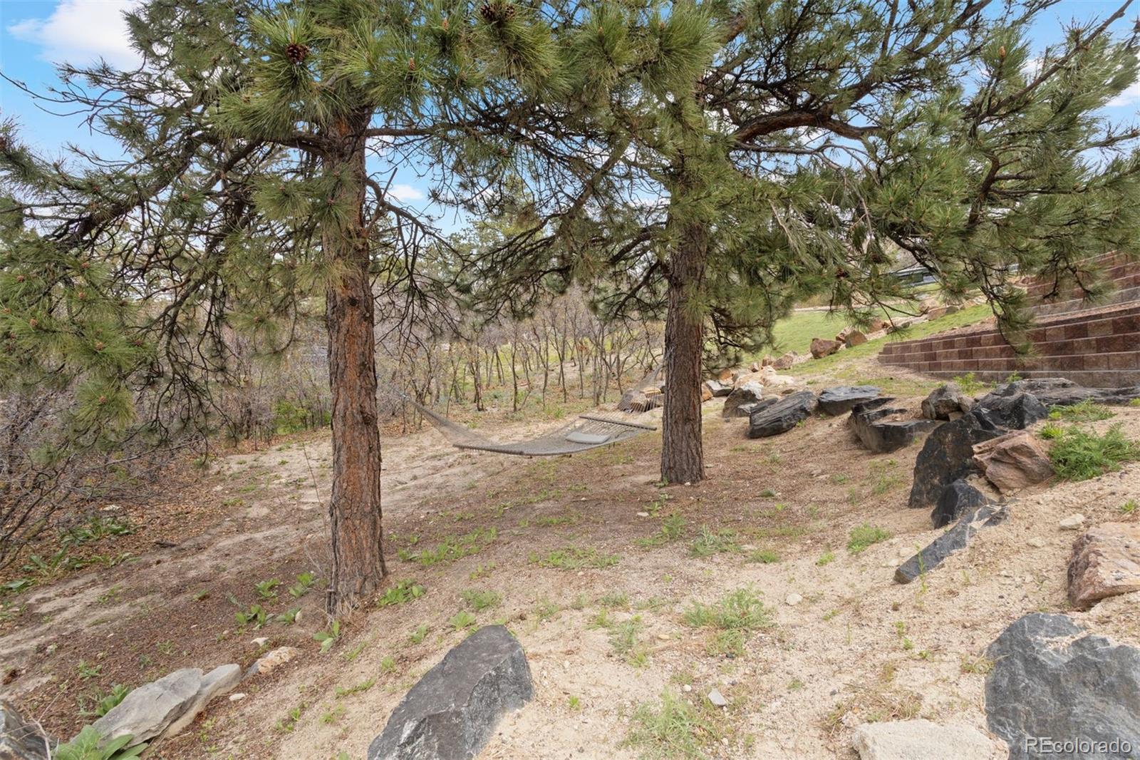 4605 Tierra Alta Drive, Castle Rock, CO 80104, 6 Bedrooms Bedrooms, ,8 BathroomsBathrooms,Residential,For Sale,Tierra Alta,REC5936624