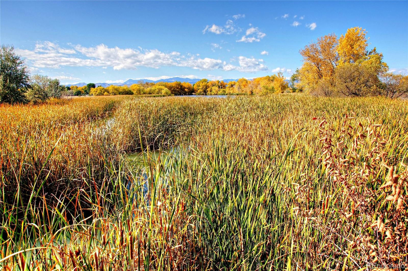 10181 W 38th Avenue, Wheat Ridge, CO 80033, 3 Bedrooms Bedrooms, ,4 BathroomsBathrooms,Residential,For Sale,Gemini,38th,REC3875847