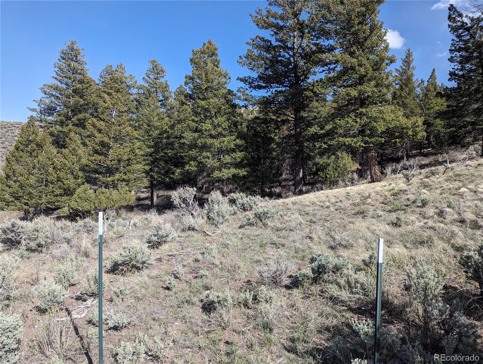 4910 Jaffe Road, Fort Garland, CO 81133, ,Land,For Sale,Jaffe,REC4696008
