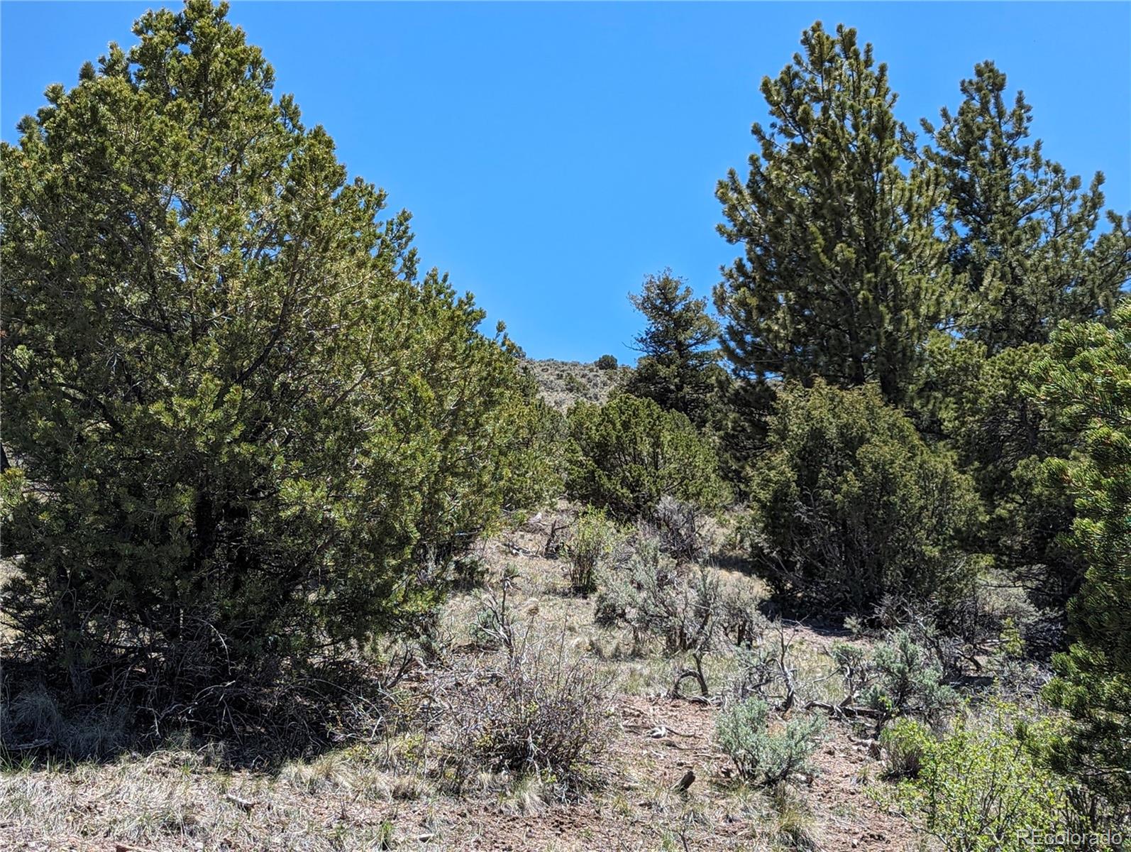 4910 Jaffe Road, Fort Garland, CO 81133, ,Land,For Sale,Jaffe,REC4696008