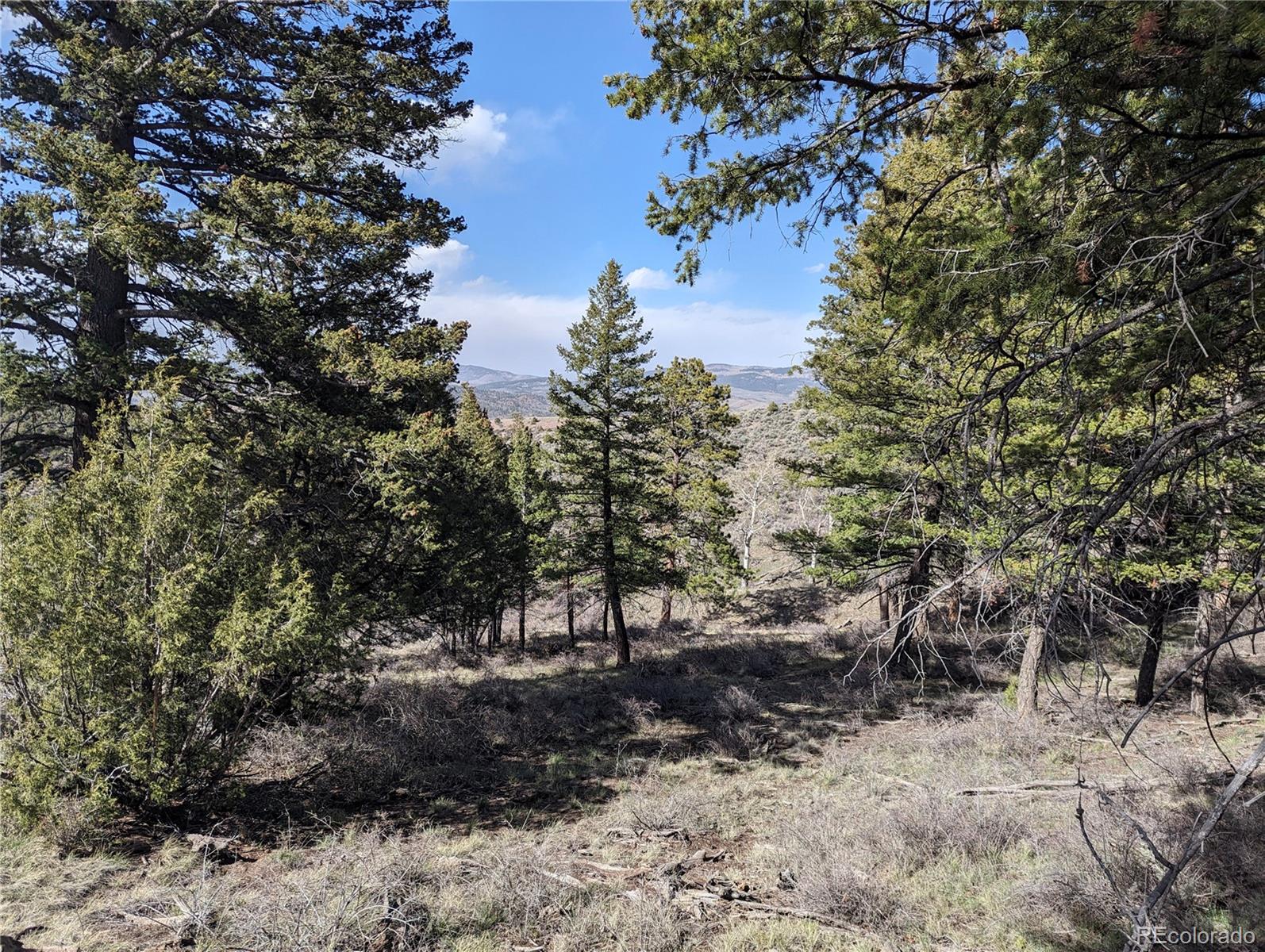 4910 Jaffe Road, Fort Garland, CO 81133, ,Land,For Sale,Jaffe,REC4696008