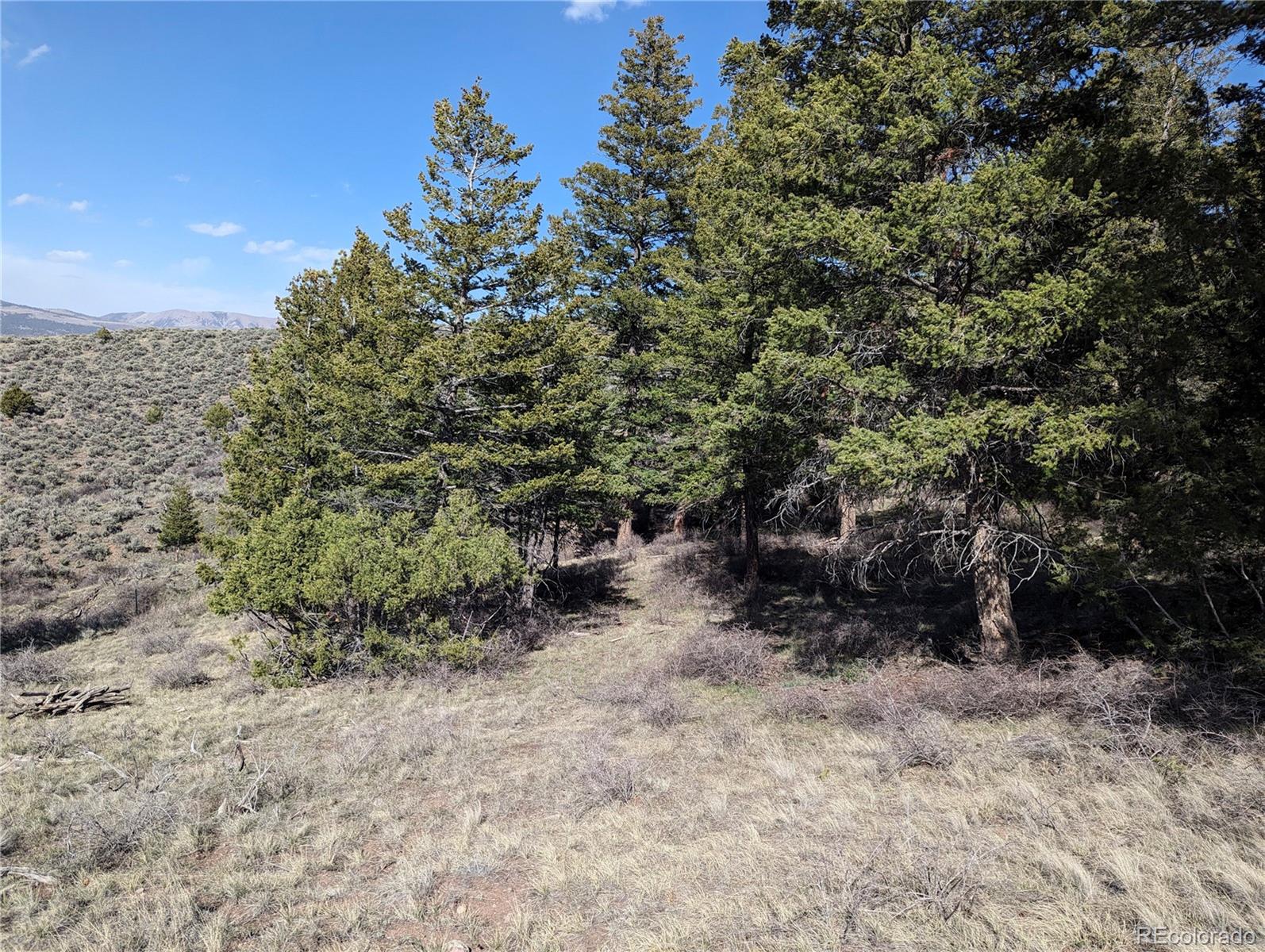 4910 Jaffe Road, Fort Garland, CO 81133, ,Land,For Sale,Jaffe,REC4696008