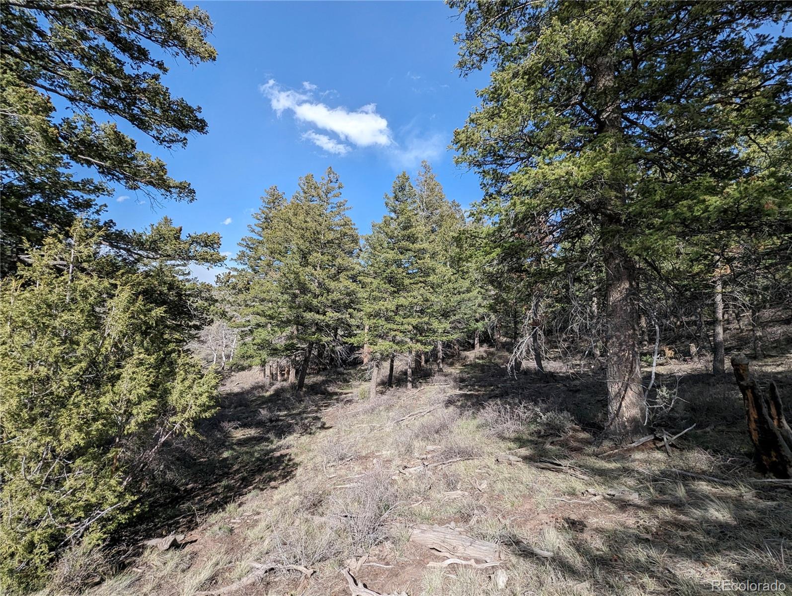 4910 Jaffe Road, Fort Garland, CO 81133, ,Land,For Sale,Jaffe,REC4696008