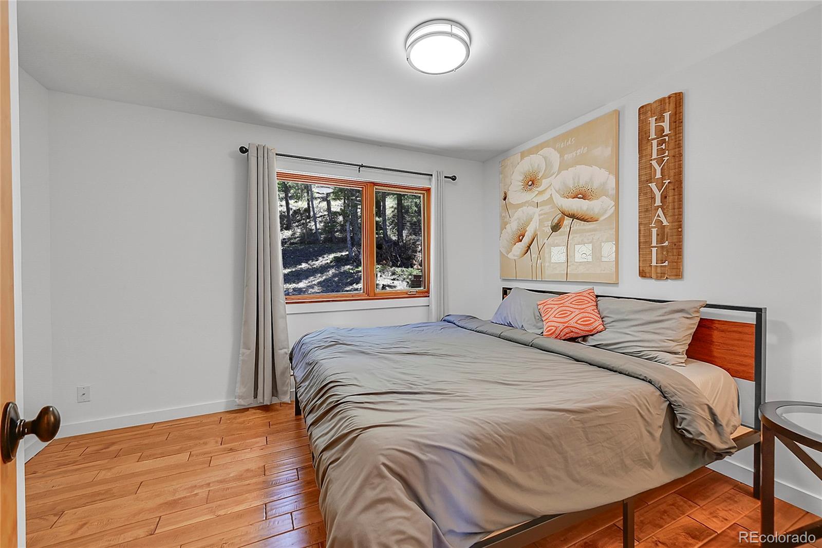 247 Alpine Drive, Nederland, CO 80466, 3 Bedrooms Bedrooms, ,3 BathroomsBathrooms,Residential,For Sale,Alpine,REC5418507