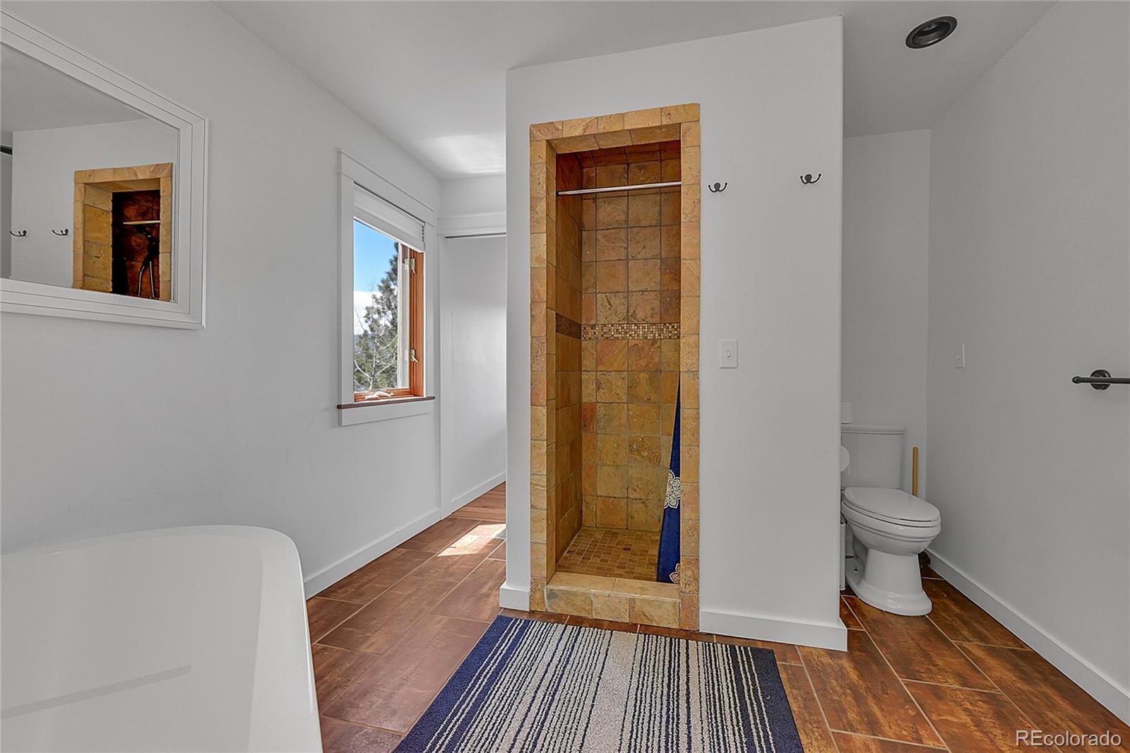 247 Alpine Drive, Nederland, CO 80466, 3 Bedrooms Bedrooms, ,3 BathroomsBathrooms,Residential,For Sale,Alpine,REC5418507