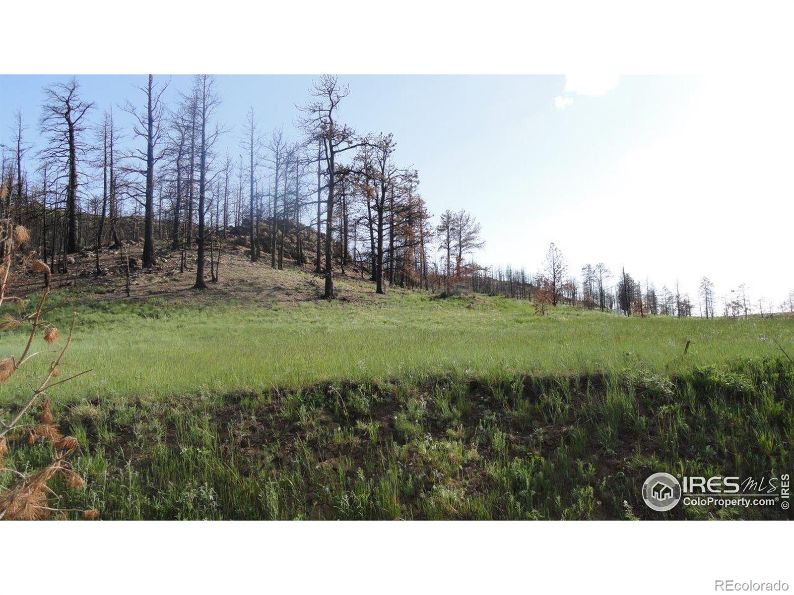 37 Black Mountain Court, Livermore, CO 80536 Real Estate, Brokers, Home Values