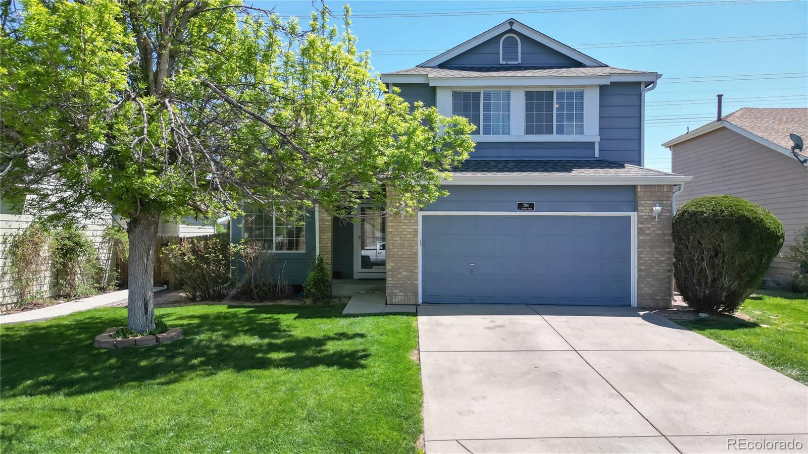 204 Carlton Street, Castle Rock, CO 80104 Real Estate