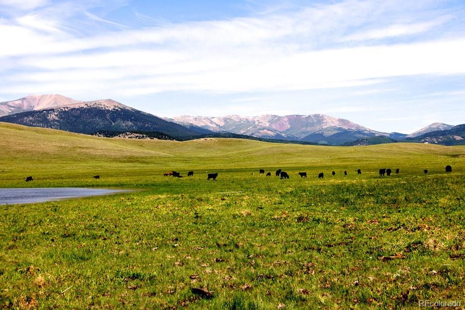 21103 Elkhorn Road, Como, CO 80432, ,Land,For Sale,Elkhorn,REC9718218