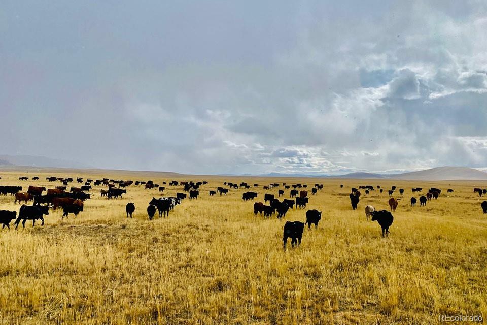 21103 Elkhorn Road, Como, CO 80432, ,Land,For Sale,Elkhorn,REC9718218