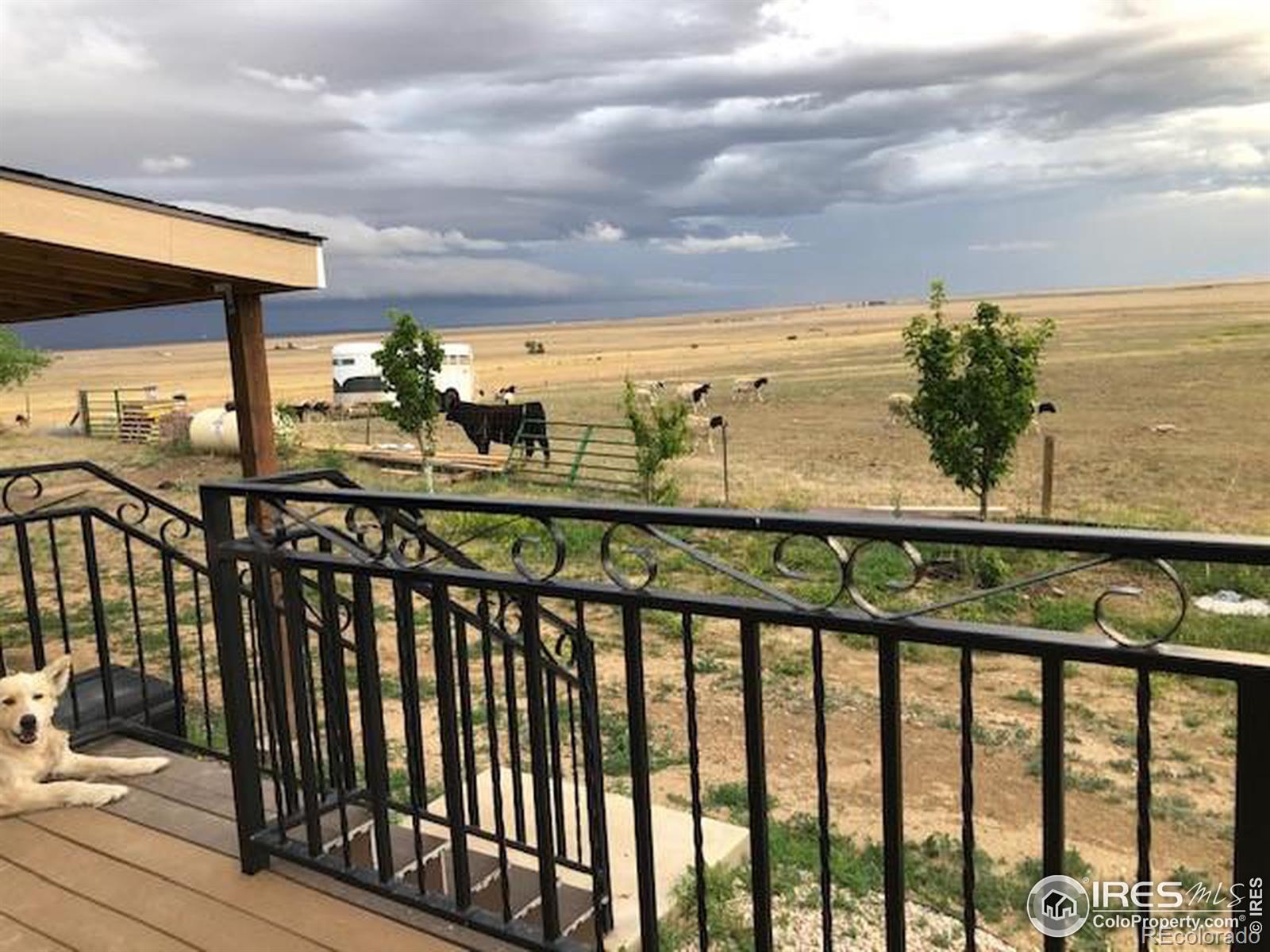 10010 County Road 110, Carr, CO 80612, 3 Bedrooms Bedrooms, ,2 BathroomsBathrooms,Residential,For Sale,County Road 110,RECIR1011649