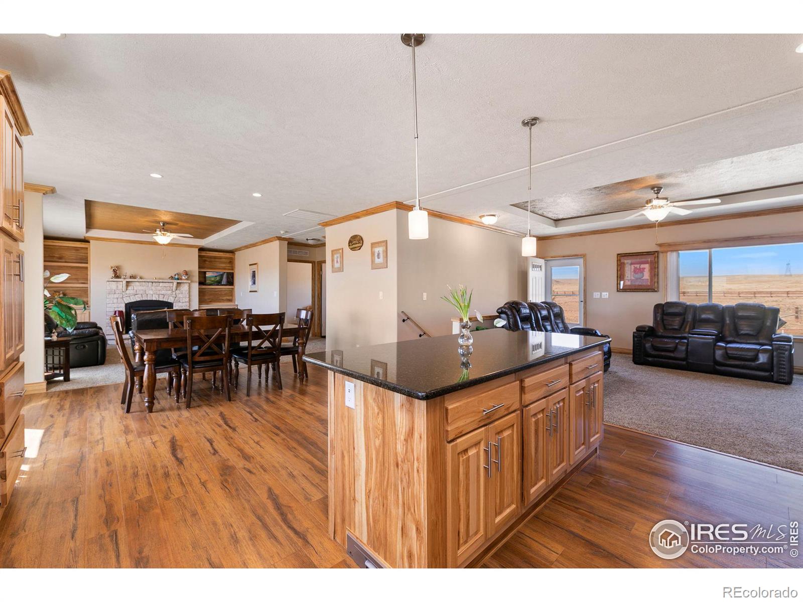 10010 County Road 110, Carr, CO 80612, 3 Bedrooms Bedrooms, ,2 BathroomsBathrooms,Residential,For Sale,County Road 110,RECIR1011649