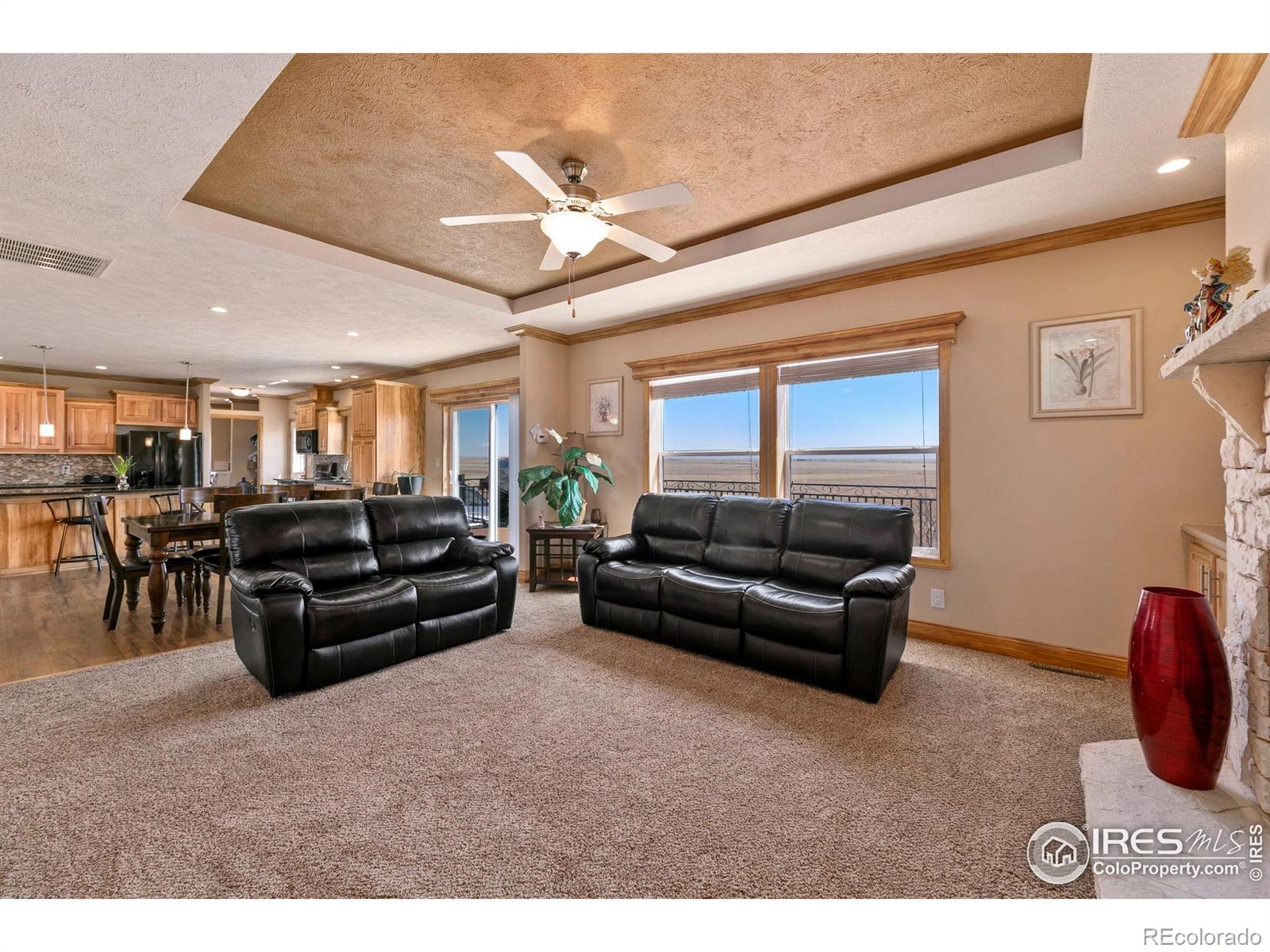 10010 County Road 110, Carr, CO 80612, 3 Bedrooms Bedrooms, ,2 BathroomsBathrooms,Residential,For Sale,County Road 110,RECIR1011649