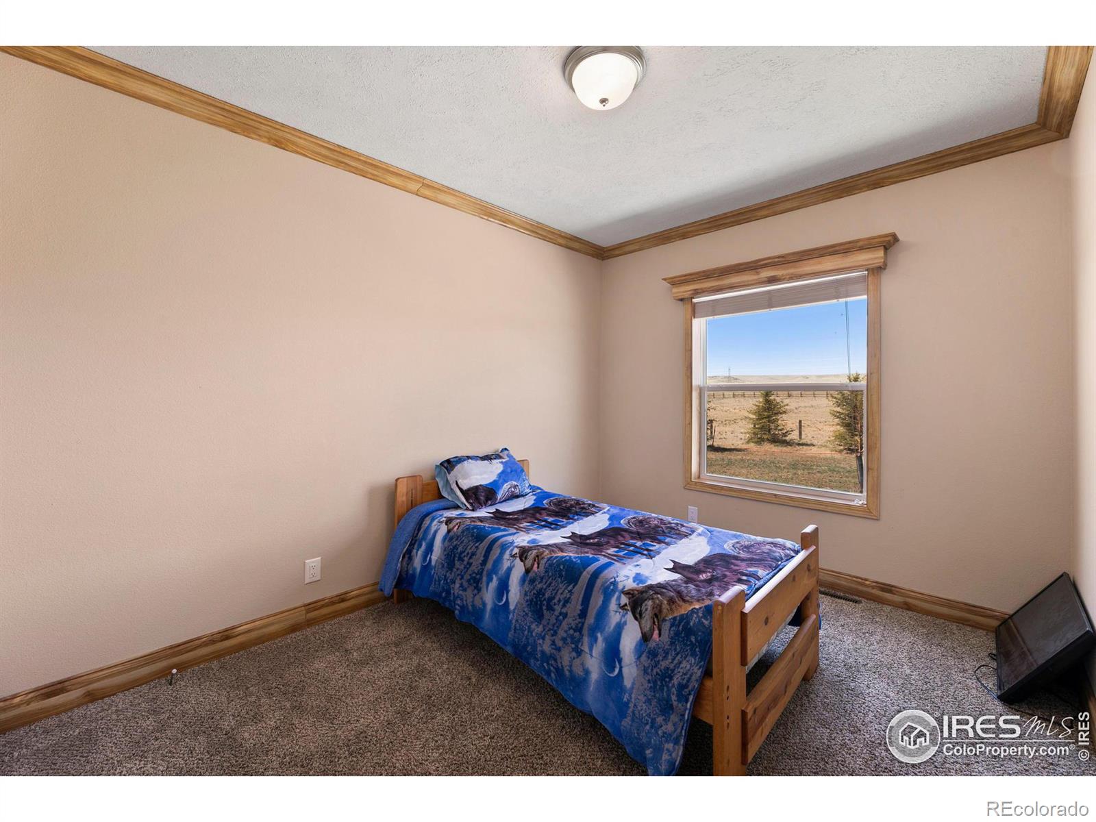 10010 County Road 110, Carr, CO 80612, 3 Bedrooms Bedrooms, ,2 BathroomsBathrooms,Residential,For Sale,County Road 110,RECIR1011649