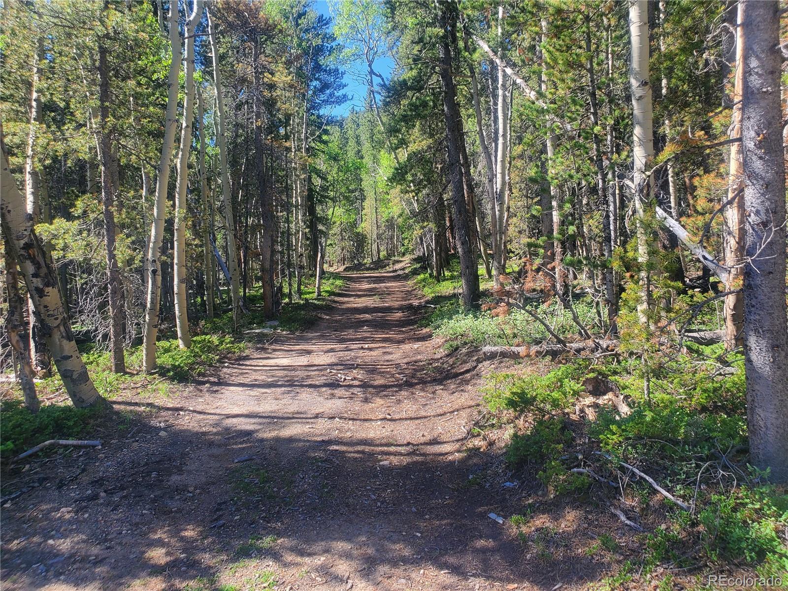 South Spring Gulch, Idaho Springs, CO 80452, ,Land,For Sale,South Spring Gulch,REC5513466