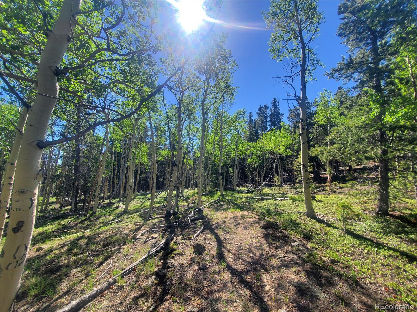 South Spring Gulch, Idaho Springs, CO 80452, ,Land,For Sale,South Spring Gulch,REC5513466