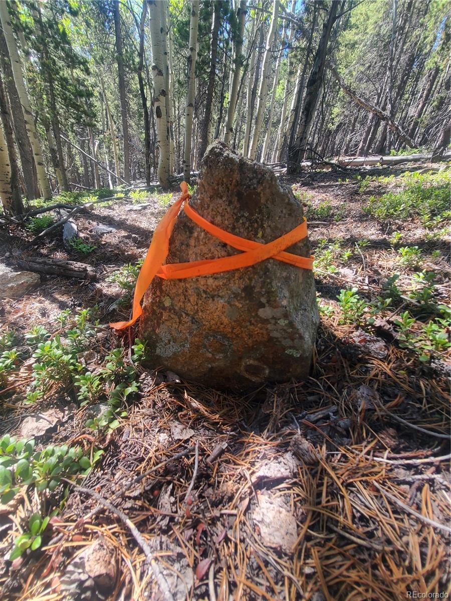South Spring Gulch, Idaho Springs, CO 80452, ,Land,For Sale,South Spring Gulch,REC5513466