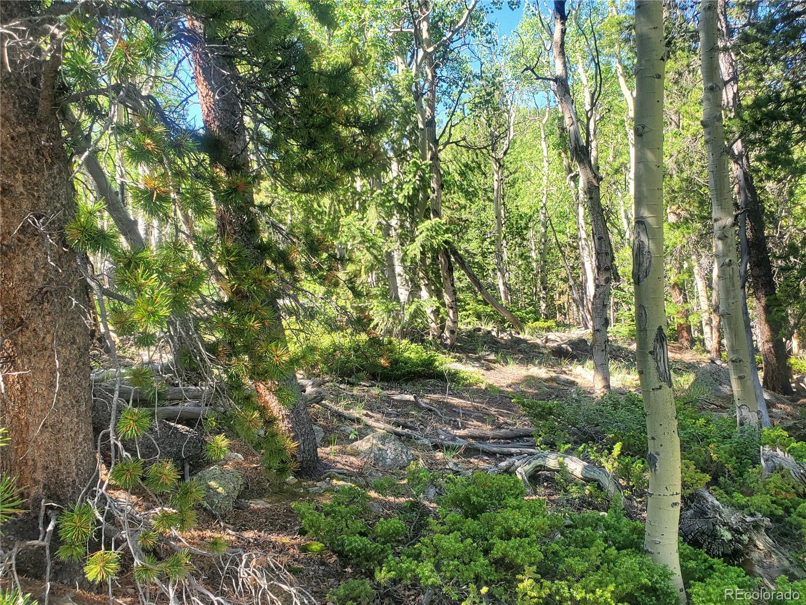 South Spring Gulch, Idaho Springs, CO 80452, ,Land,For Sale,South Spring Gulch,REC5513466