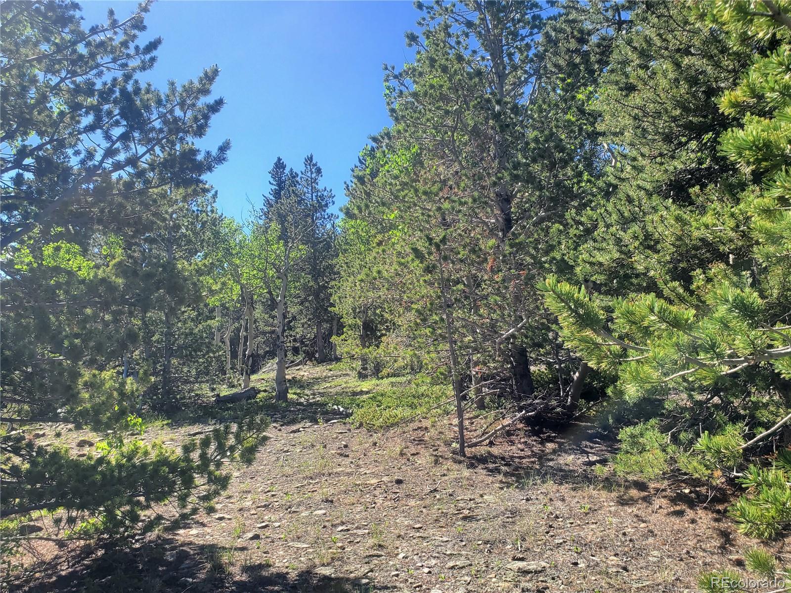 South Spring Gulch, Idaho Springs, CO 80452, ,Land,For Sale,South Spring Gulch,REC5513466