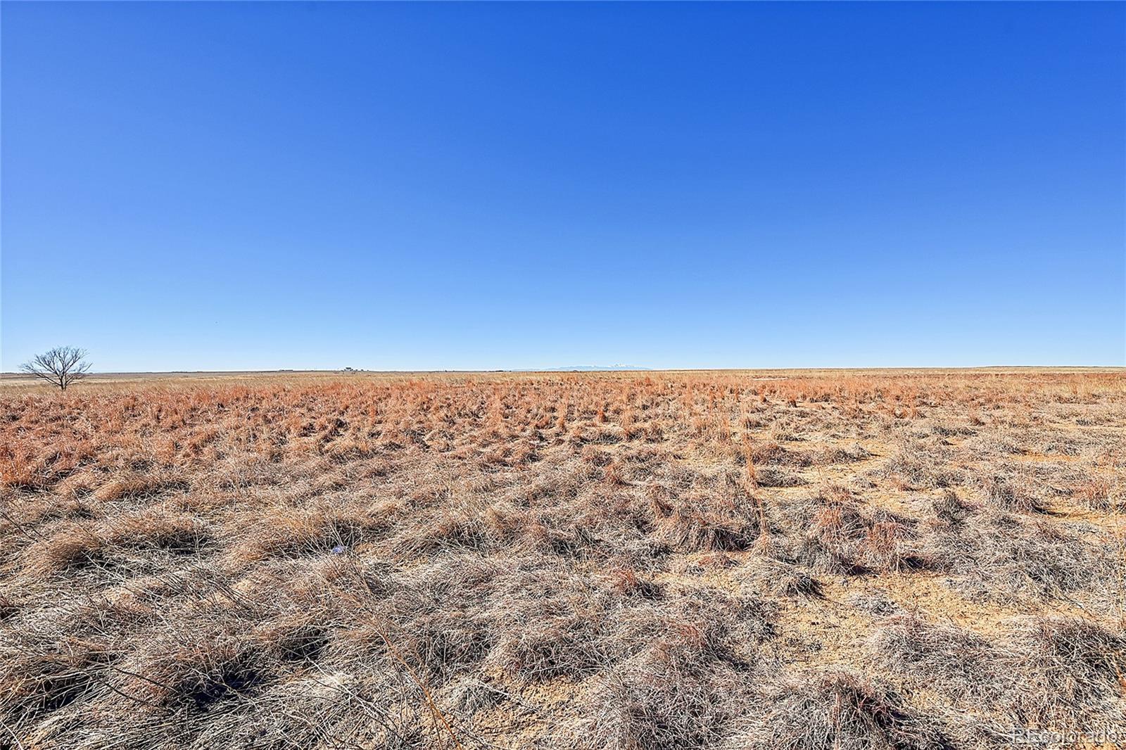 17251 County Road 2, Rush, CO 80833, 4 Bedrooms Bedrooms, ,2 BathroomsBathrooms,Residential,For Sale,County Road 2,REC8761470