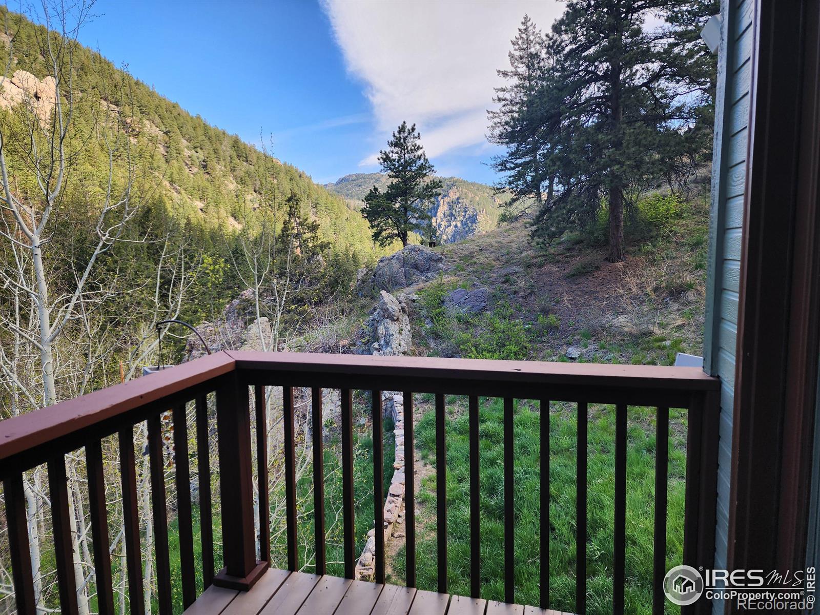 600 Waltonia Road, Drake, CO 80515, 3 Bedrooms Bedrooms, ,3 BathroomsBathrooms,Residential,For Sale,Waltonia,RECIR1012041