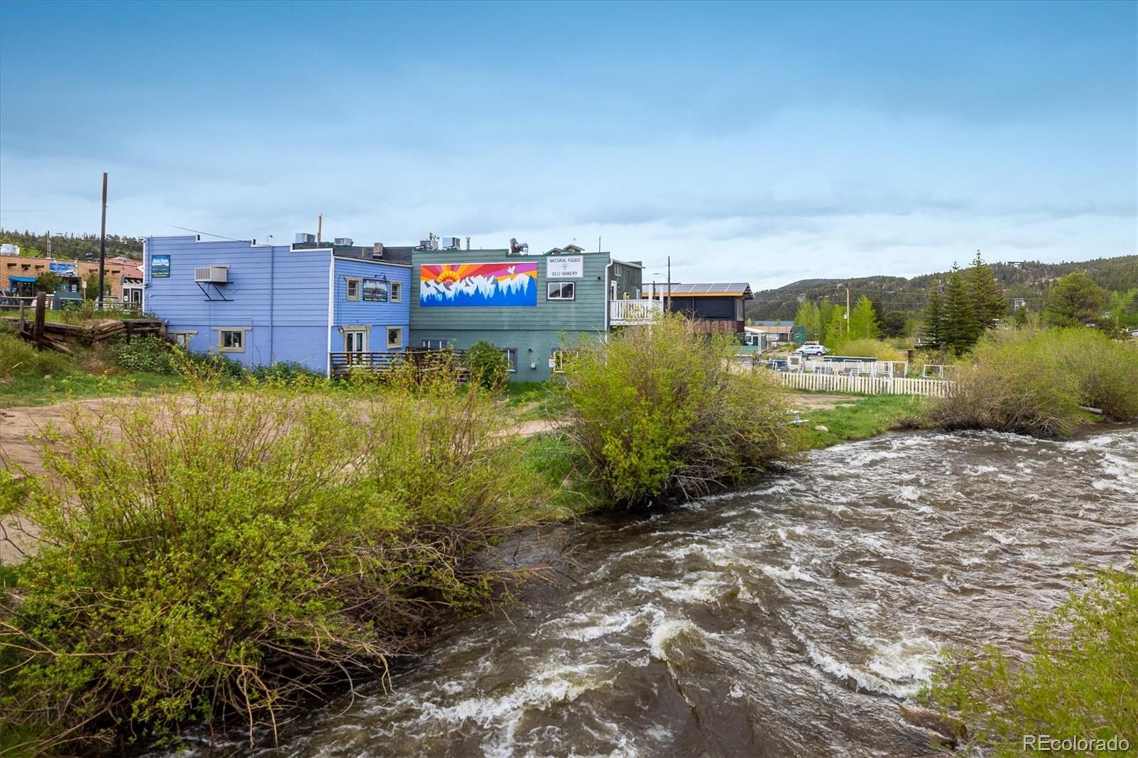 26 E 1st Street, Nederland, CO 80466, ,Commercial,For Sale,The Rustic Moose,1st,REC2207462