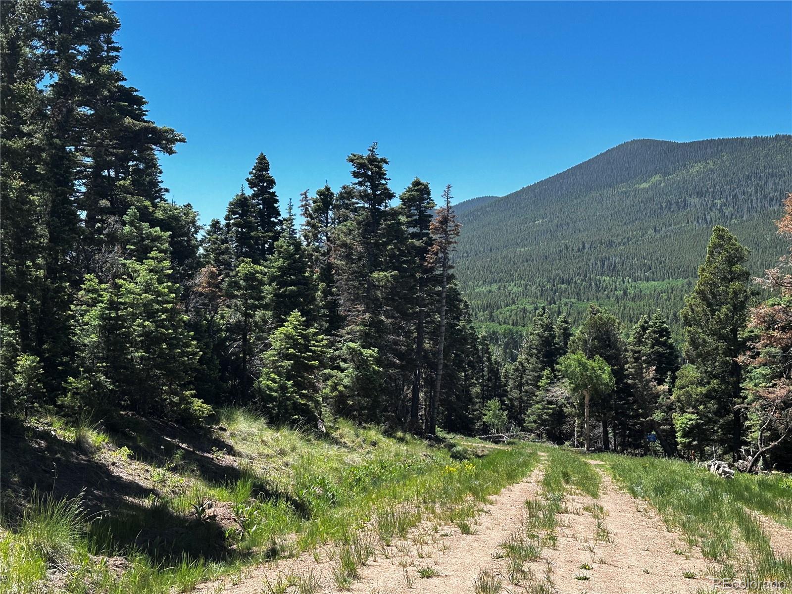 2872 Fery Loop, Fort Garland, CO 81133, ,Land,For Sale,Fery,REC8845655