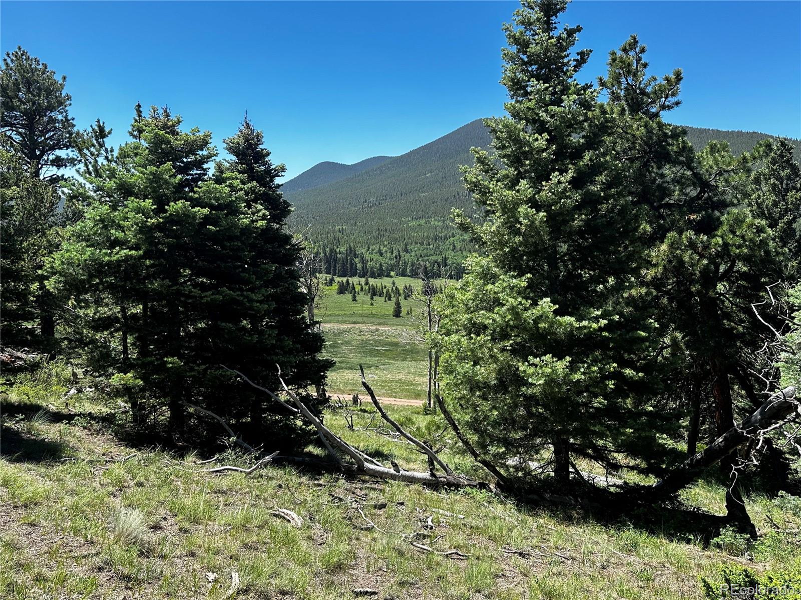 2872 Fery Loop, Fort Garland, CO 81133, ,Land,For Sale,Fery,REC8845655