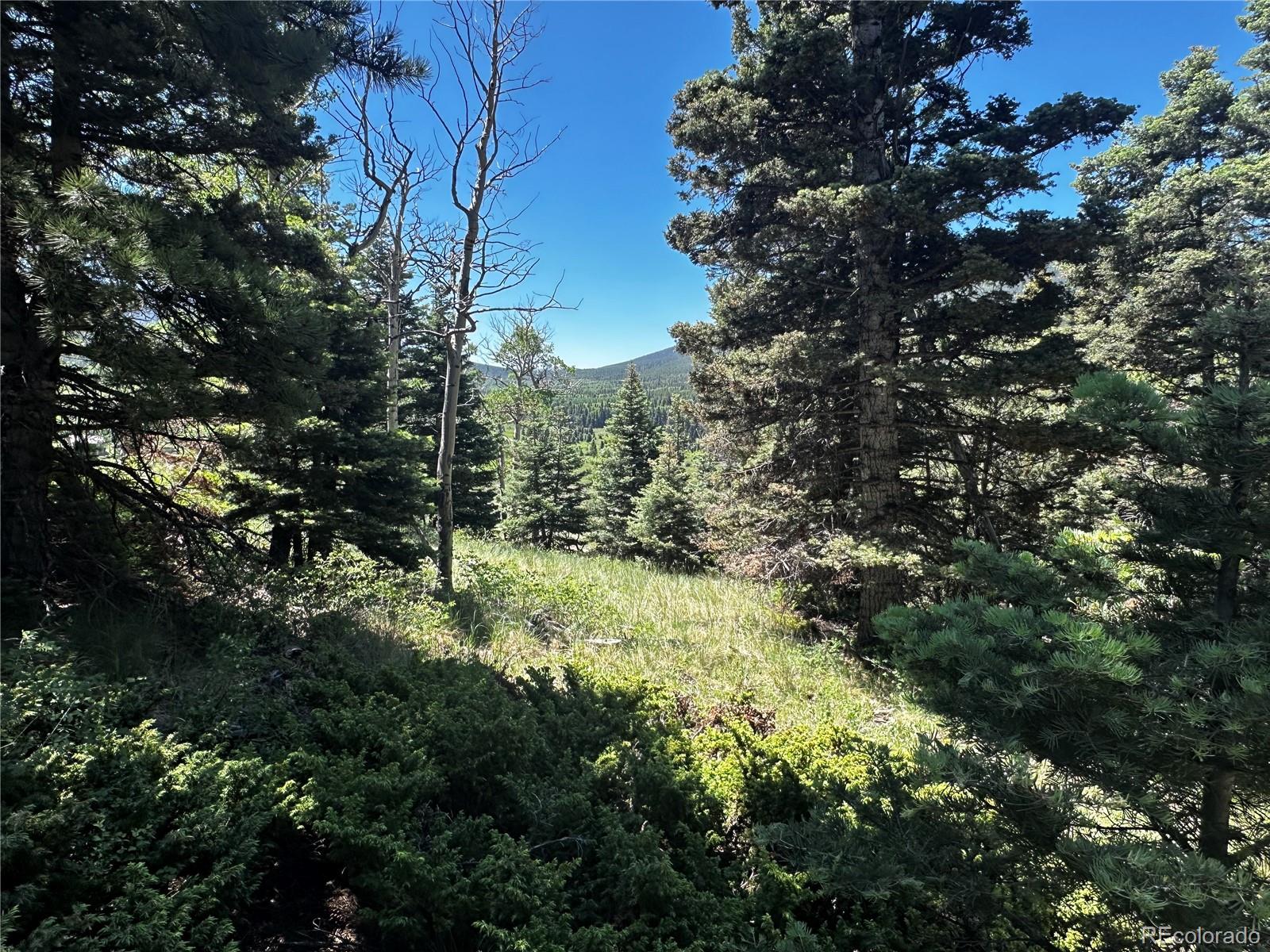 2872 Fery Loop, Fort Garland, CO 81133, ,Land,For Sale,Fery,REC8845655
