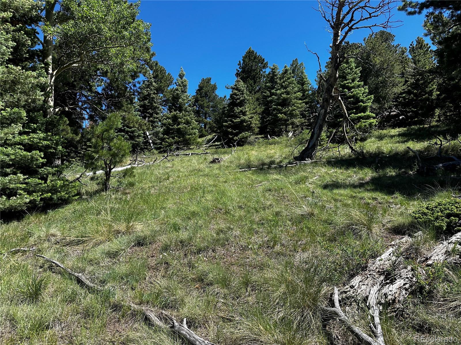 2872 Fery Loop, Fort Garland, CO 81133, ,Land,For Sale,Fery,REC8845655