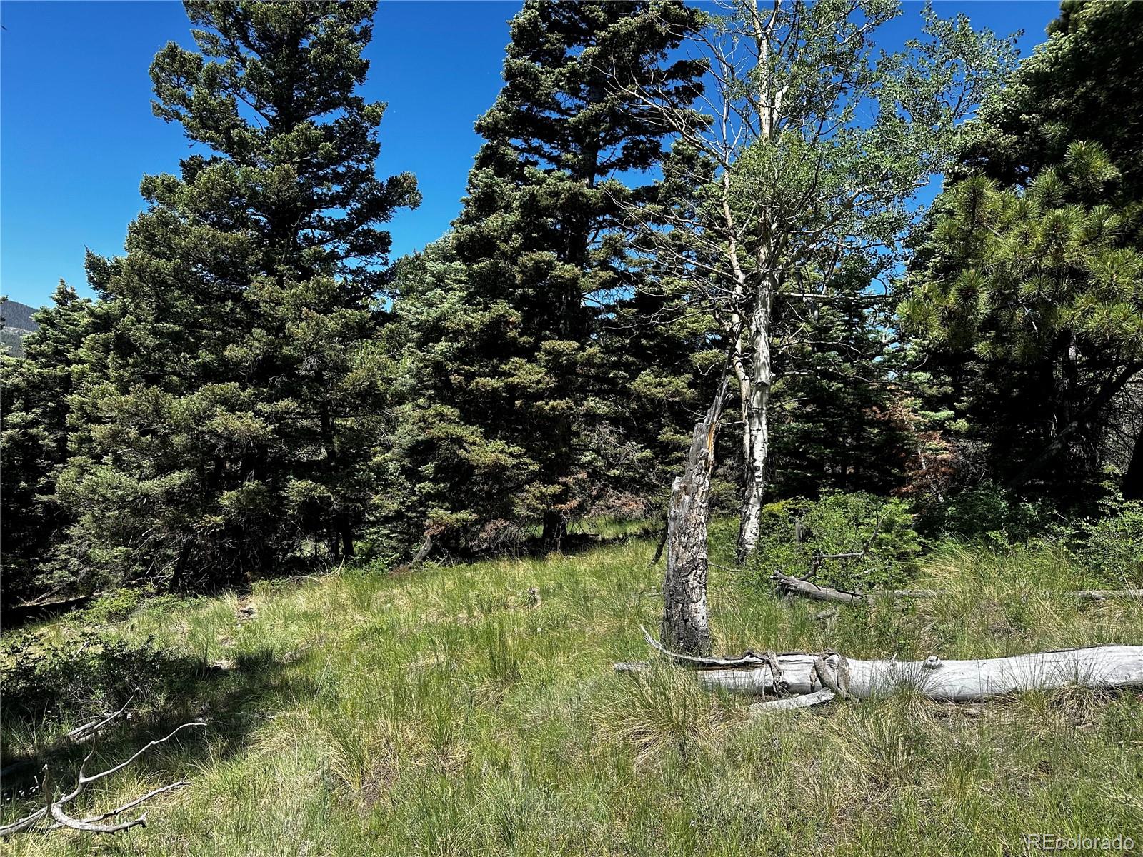 2872 Fery Loop, Fort Garland, CO 81133, ,Land,For Sale,Fery,REC8845655