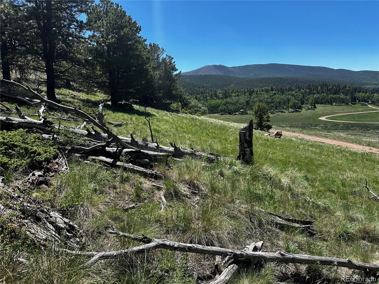 2872 Fery Loop, Fort Garland, CO 81133, ,Land,For Sale,Fery,REC8845655