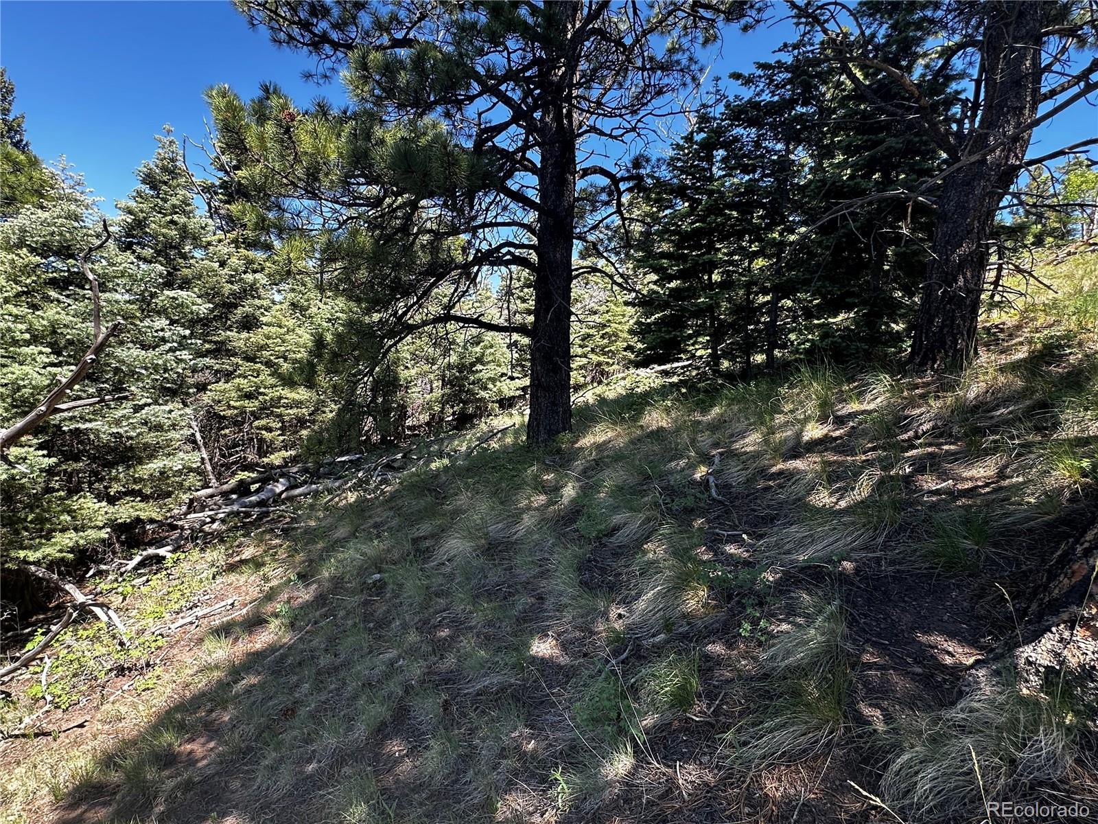 2872 Fery Loop, Fort Garland, CO 81133, ,Land,For Sale,Fery,REC8845655