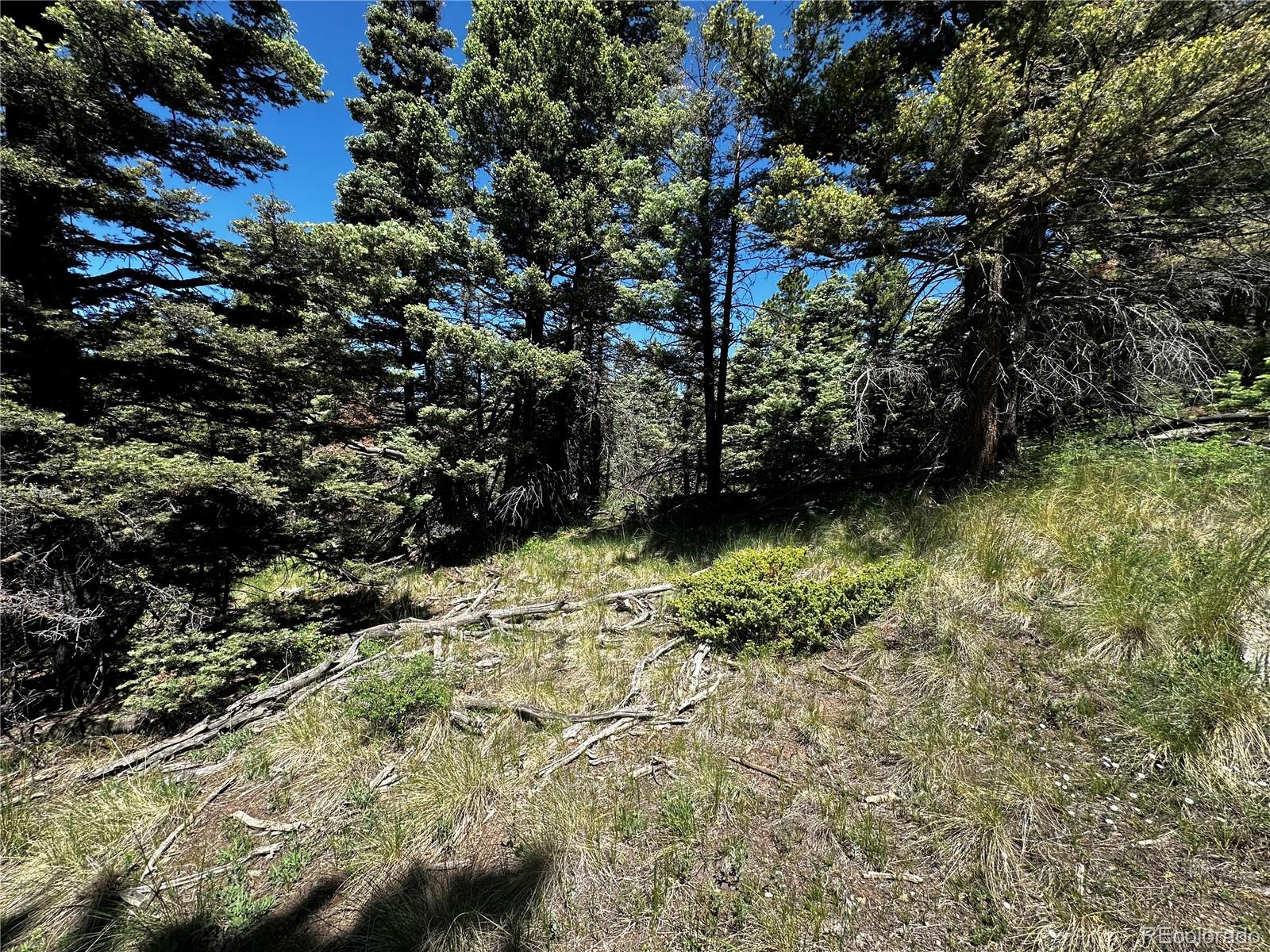 2872 Fery Loop, Fort Garland, CO 81133, ,Land,For Sale,Fery,REC8845655