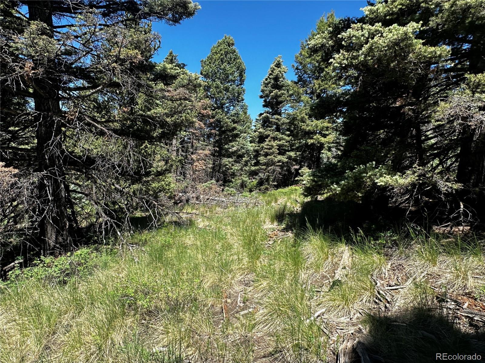 2872 Fery Loop, Fort Garland, CO 81133, ,Land,For Sale,Fery,REC8845655