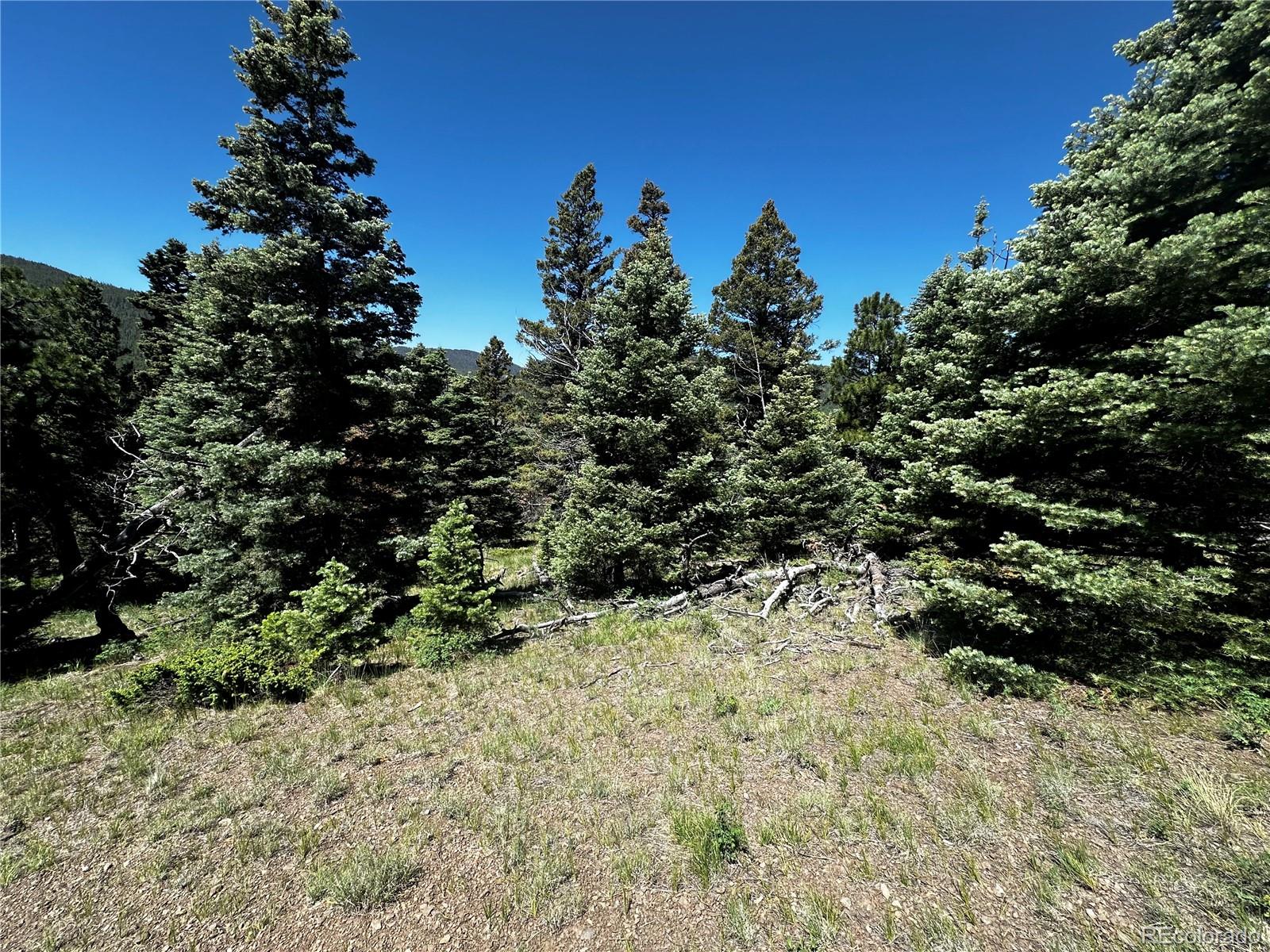 2872 Fery Loop, Fort Garland, CO 81133, ,Land,For Sale,Fery,REC8845655