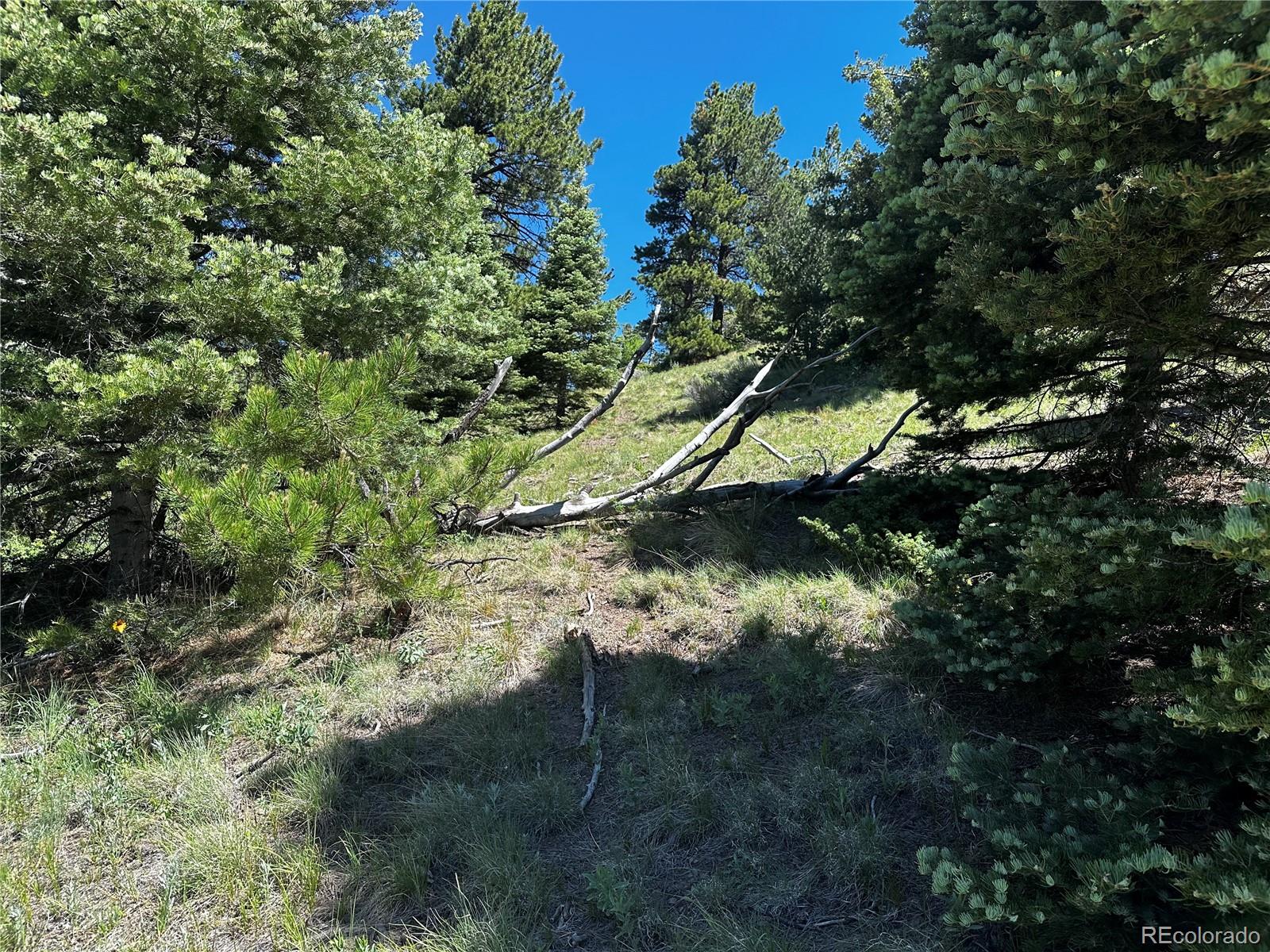 2872 Fery Loop, Fort Garland, CO 81133, ,Land,For Sale,Fery,REC8845655