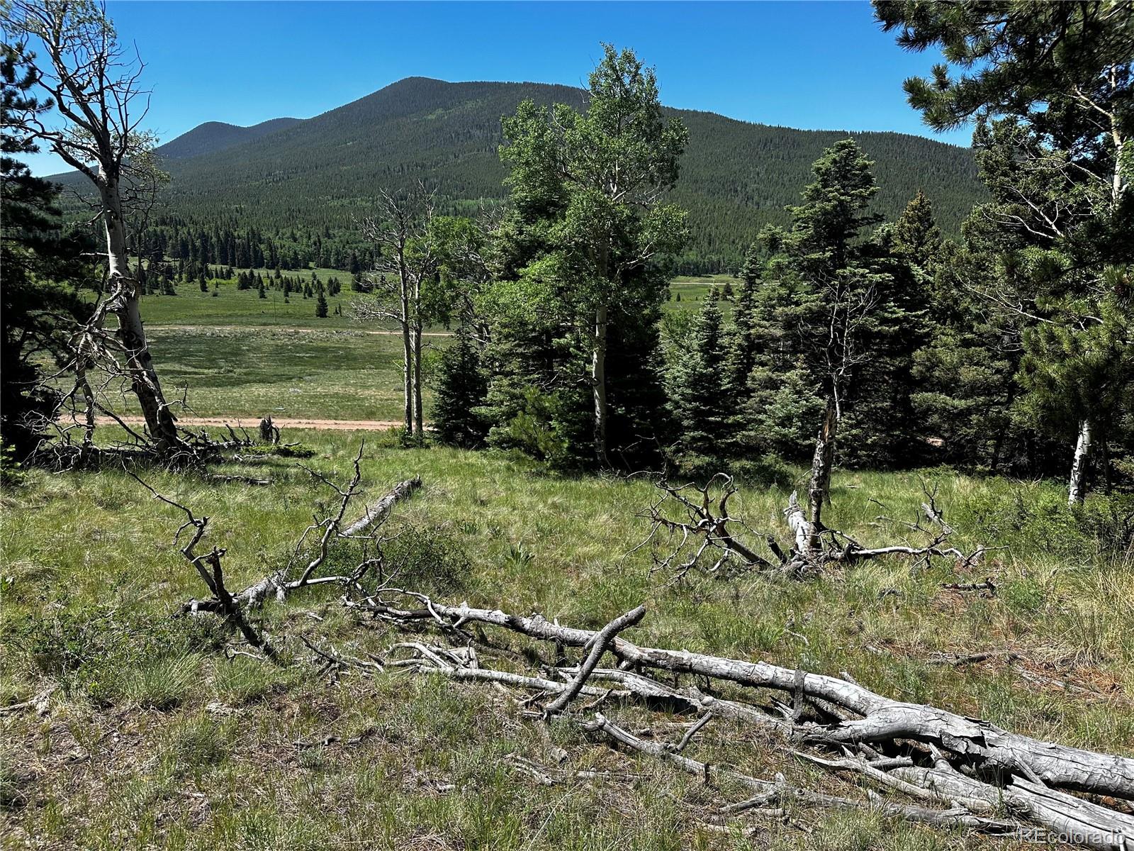 2872 Fery Loop, Fort Garland, CO 81133, ,Land,For Sale,Fery,REC8845655