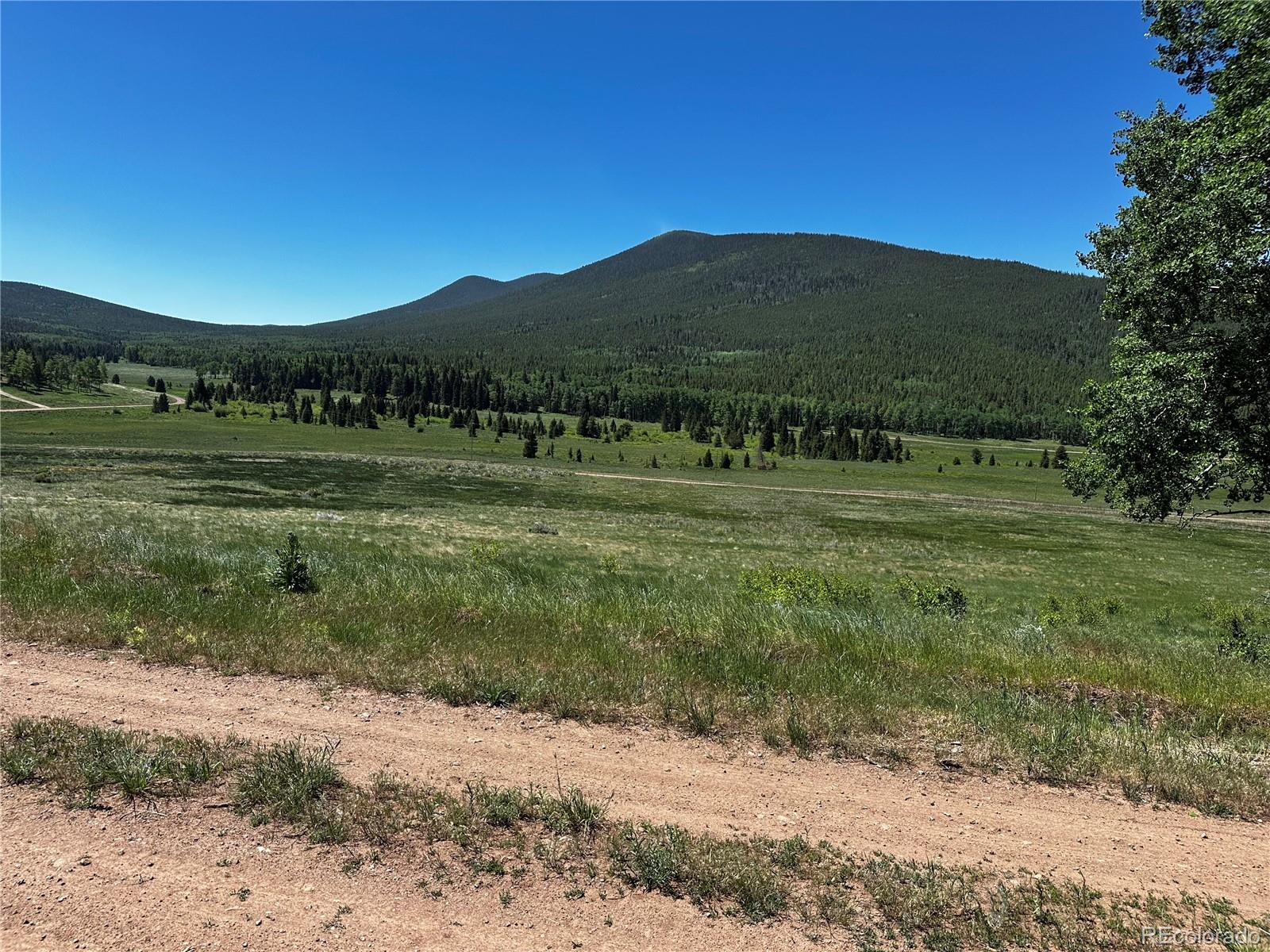 2872 Fery Loop, Fort Garland, CO 81133, ,Land,For Sale,Fery,REC8845655
