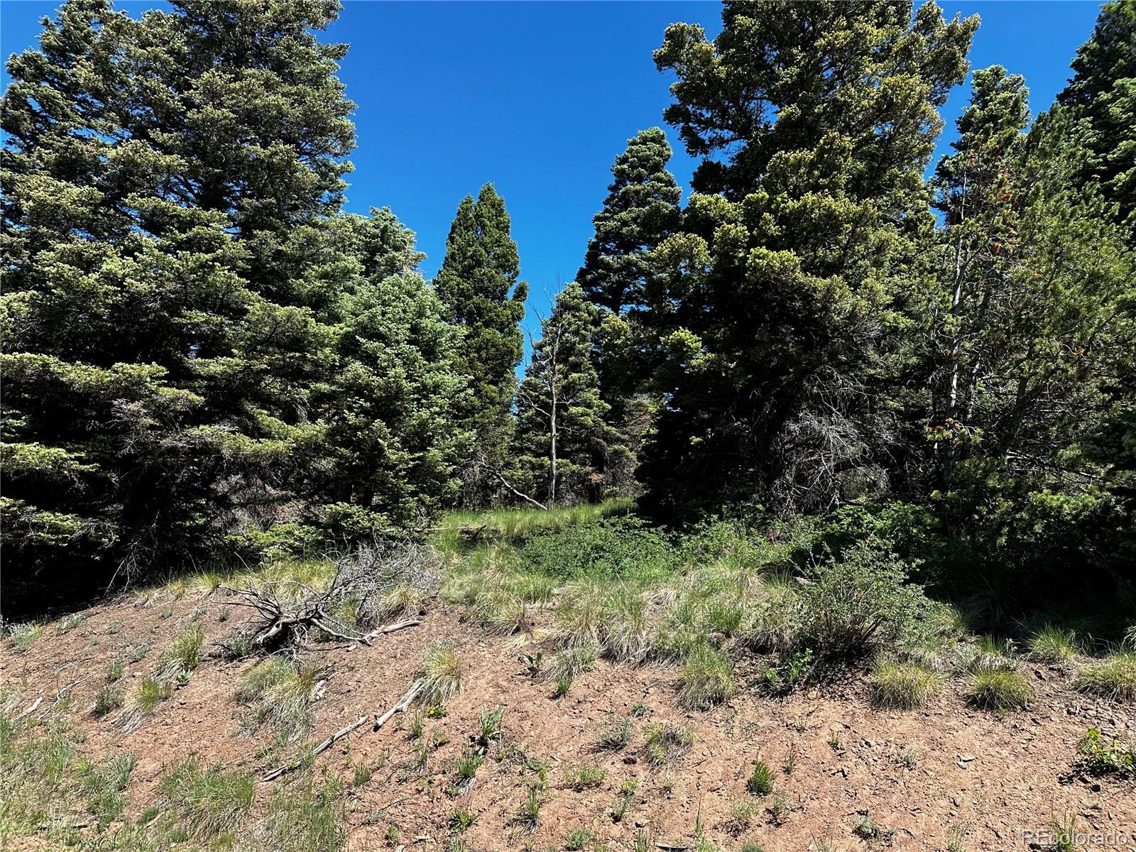 2872 Fery Loop, Fort Garland, CO 81133, ,Land,For Sale,Fery,REC8845655
