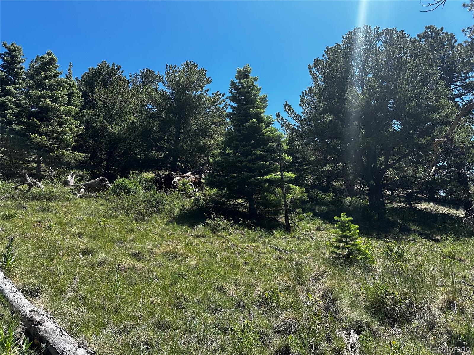 2872 Fery Loop, Fort Garland, CO 81133, ,Land,For Sale,Fery,REC8845655