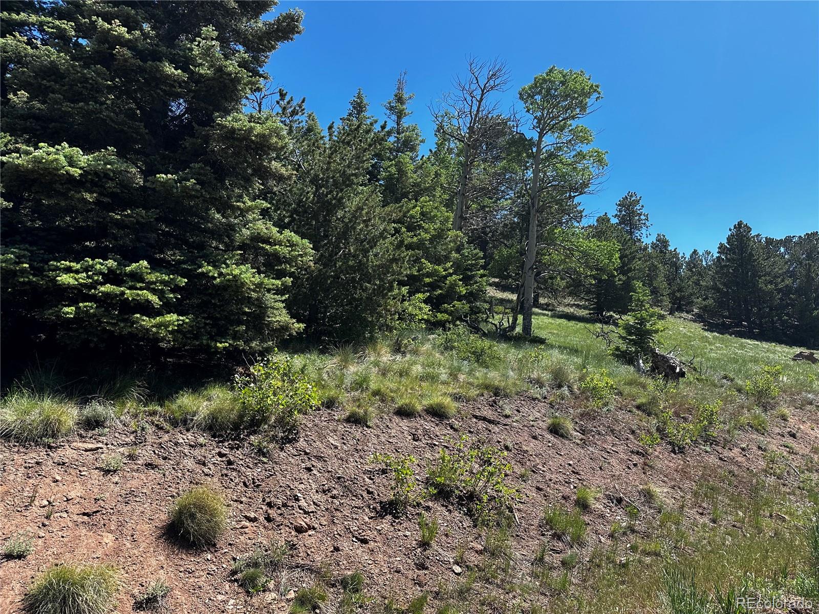 2872 Fery Loop, Fort Garland, CO 81133, ,Land,For Sale,Fery,REC8845655