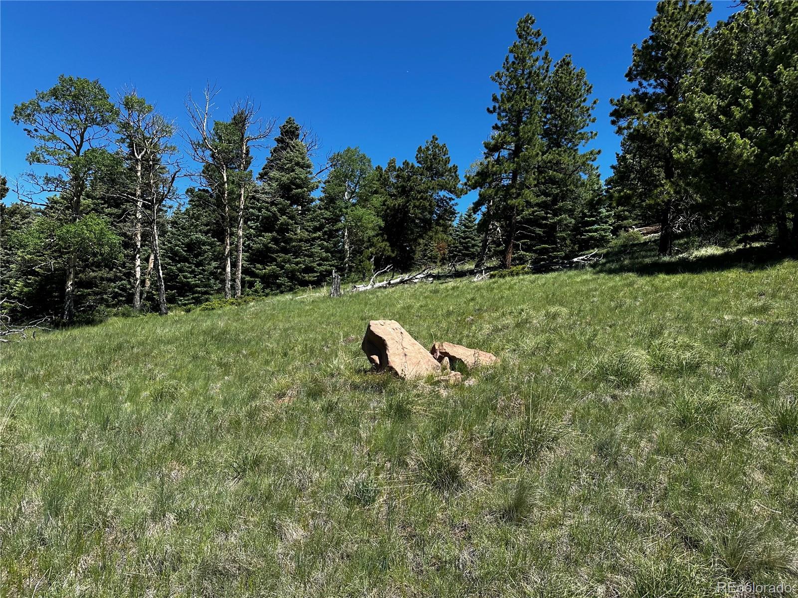 2872 Fery Loop, Fort Garland, CO 81133, ,Land,For Sale,Fery,REC8845655