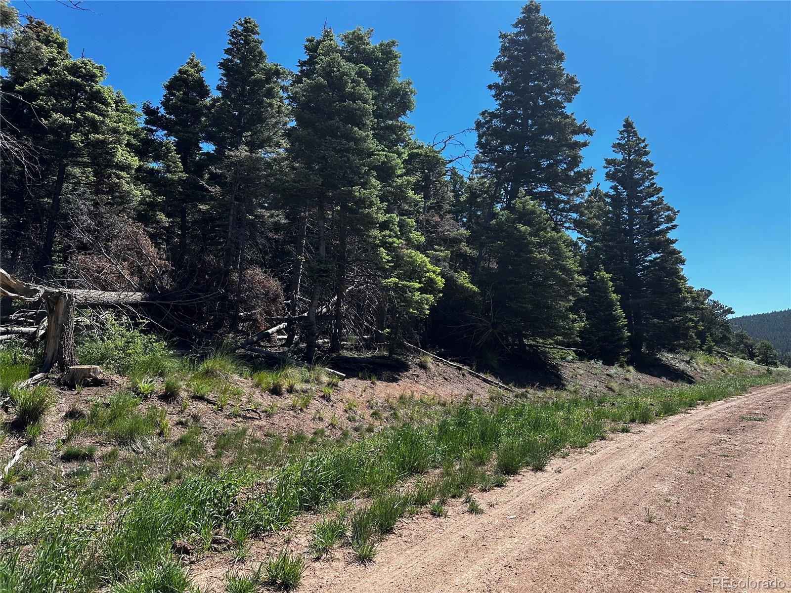 2872 Fery Loop, Fort Garland, CO 81133, ,Land,For Sale,Fery,REC8845655