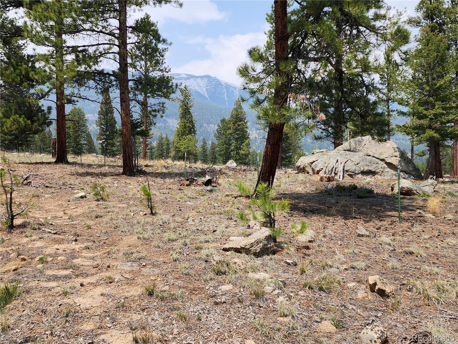 30634 Timberline, Buena Vista, CO 81211, ,Land,For Sale,Timberline,REC5393458