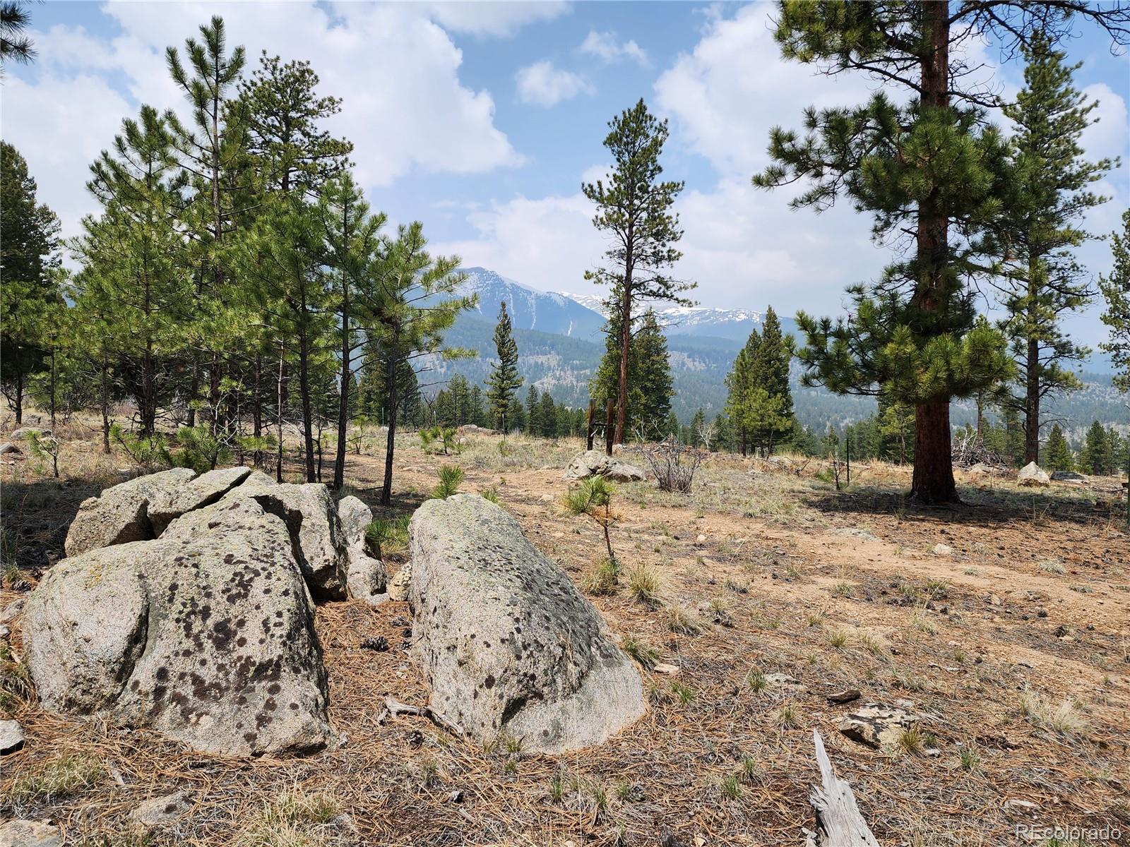 30634 Timberline, Buena Vista, CO 81211, ,Land,For Sale,Timberline,REC5393458