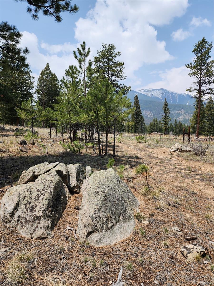 30634 Timberline, Buena Vista, CO 81211, ,Land,For Sale,Timberline,REC5393458
