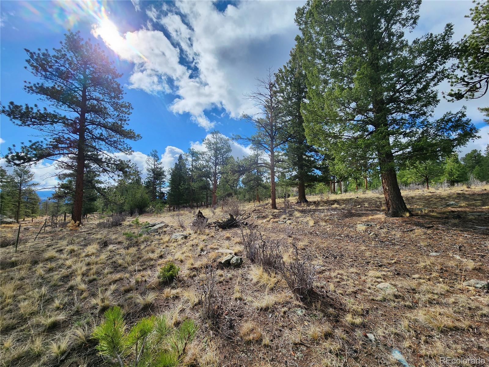 30634 Timberline, Buena Vista, CO 81211, ,Land,For Sale,Timberline,REC5393458