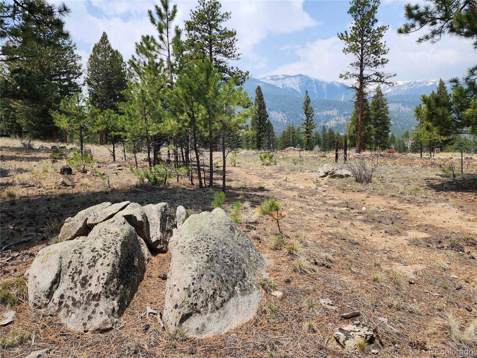 30634 Timberline, Buena Vista, CO 81211, ,Land,For Sale,Timberline,REC5393458