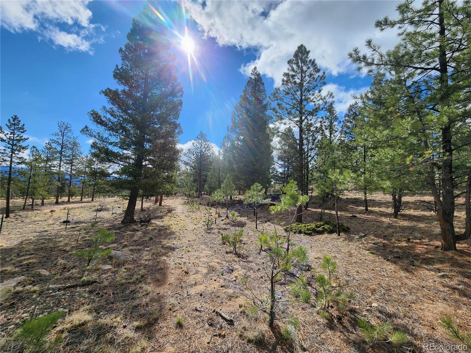 30634 Timberline, Buena Vista, CO 81211, ,Land,For Sale,Timberline,REC5393458
